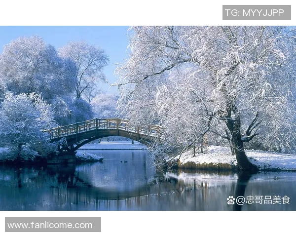 黑龙江卫视精彩节目推荐让你领略北国风光与文化魅力