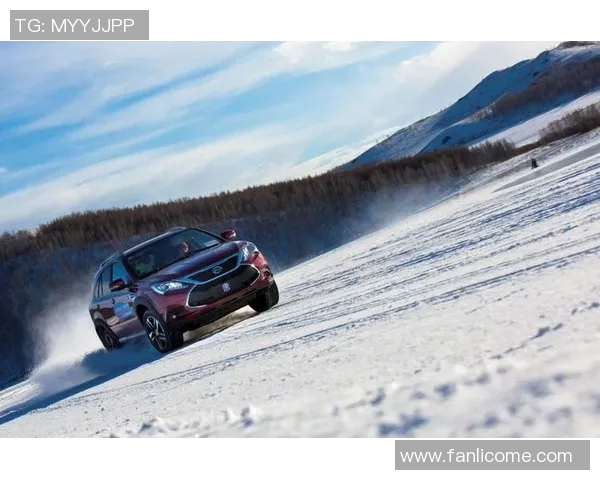 挪威足球超级联赛精彩回顾与未来展望分析